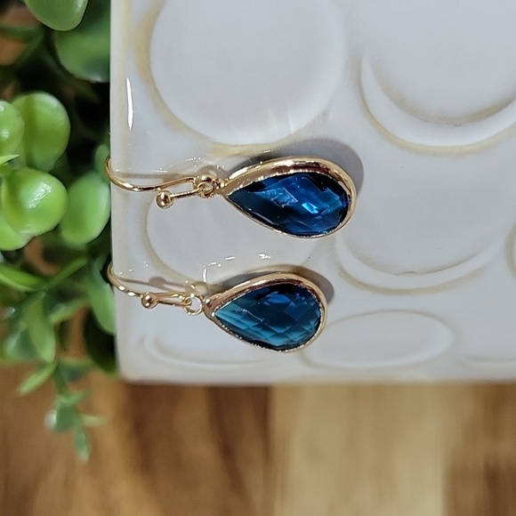 Ear Envy Jewelry - FACETED TEARDROP Shimmer Earrings